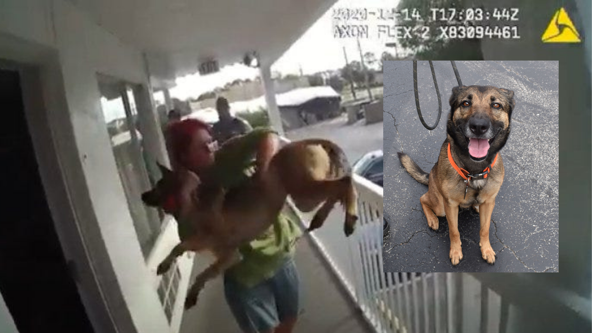 Video: Woman Throws Dog Off Balcony As Police Approach